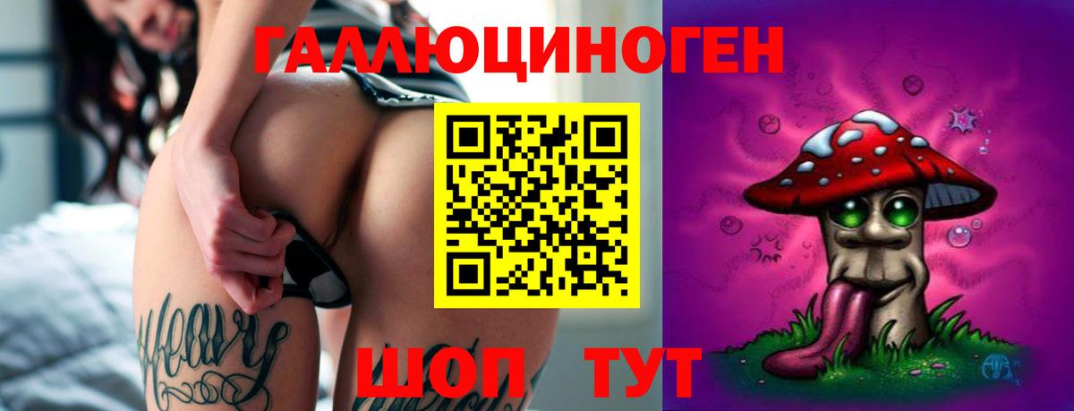 Славгород  Псилоцибиновые грибы ЛСД  Вход с VPN  Псилоцибиновые грибы мухоморы 